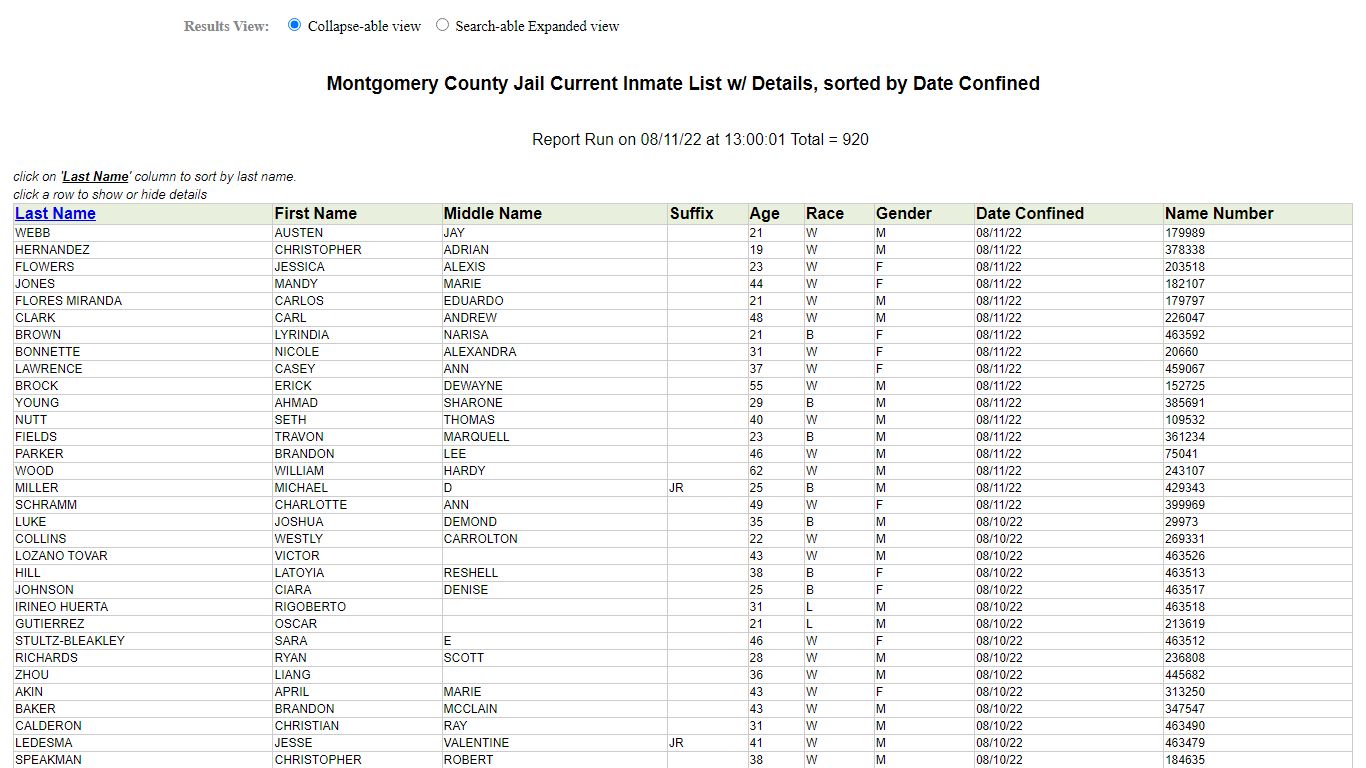 Jail Roster